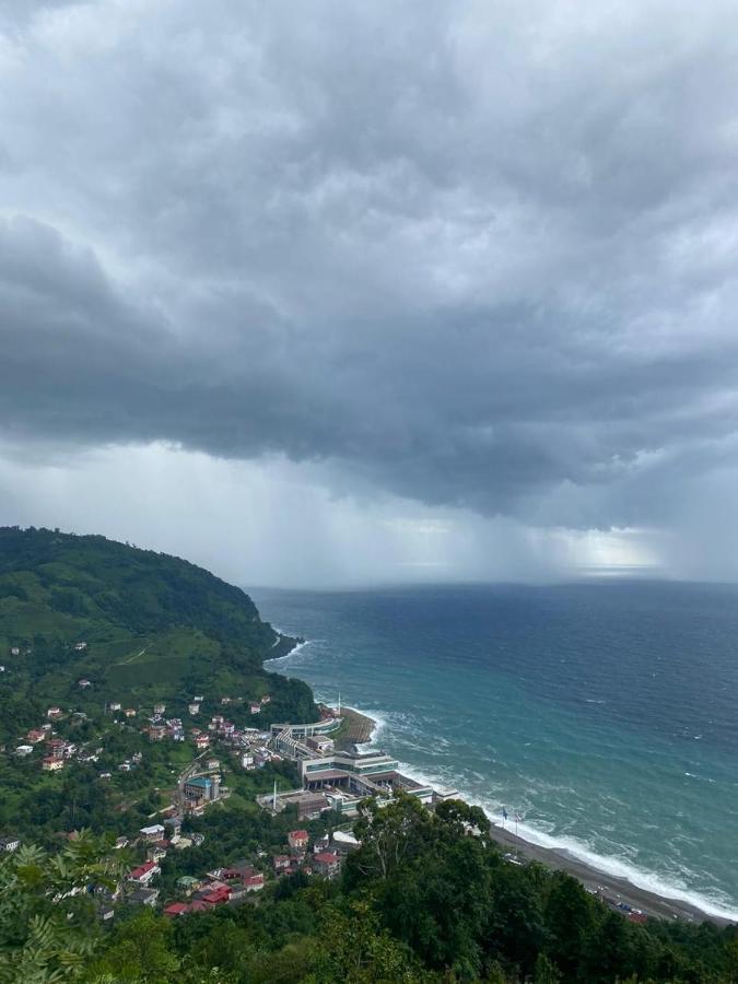 Domek letniskowy Panorama Sarpi Batumi